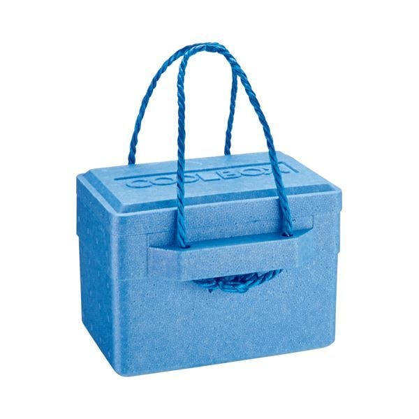 （まとめ） 石山 発泡クールボックス 5.6L ブルー TI-60P 1個 [x5セット] 7,234円