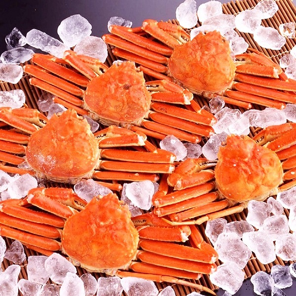 (身入り抜群のA級品 )カナダ産ボイルズワイガニ姿・約600g×5尾 冷凍ズワイ蟹