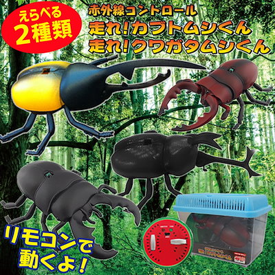 リアル昆虫ラジコン カブト虫&クワガタ Amazon | 昆虫 ラジコン クワガタ 擬似昆虫 リモコン カブトムシ