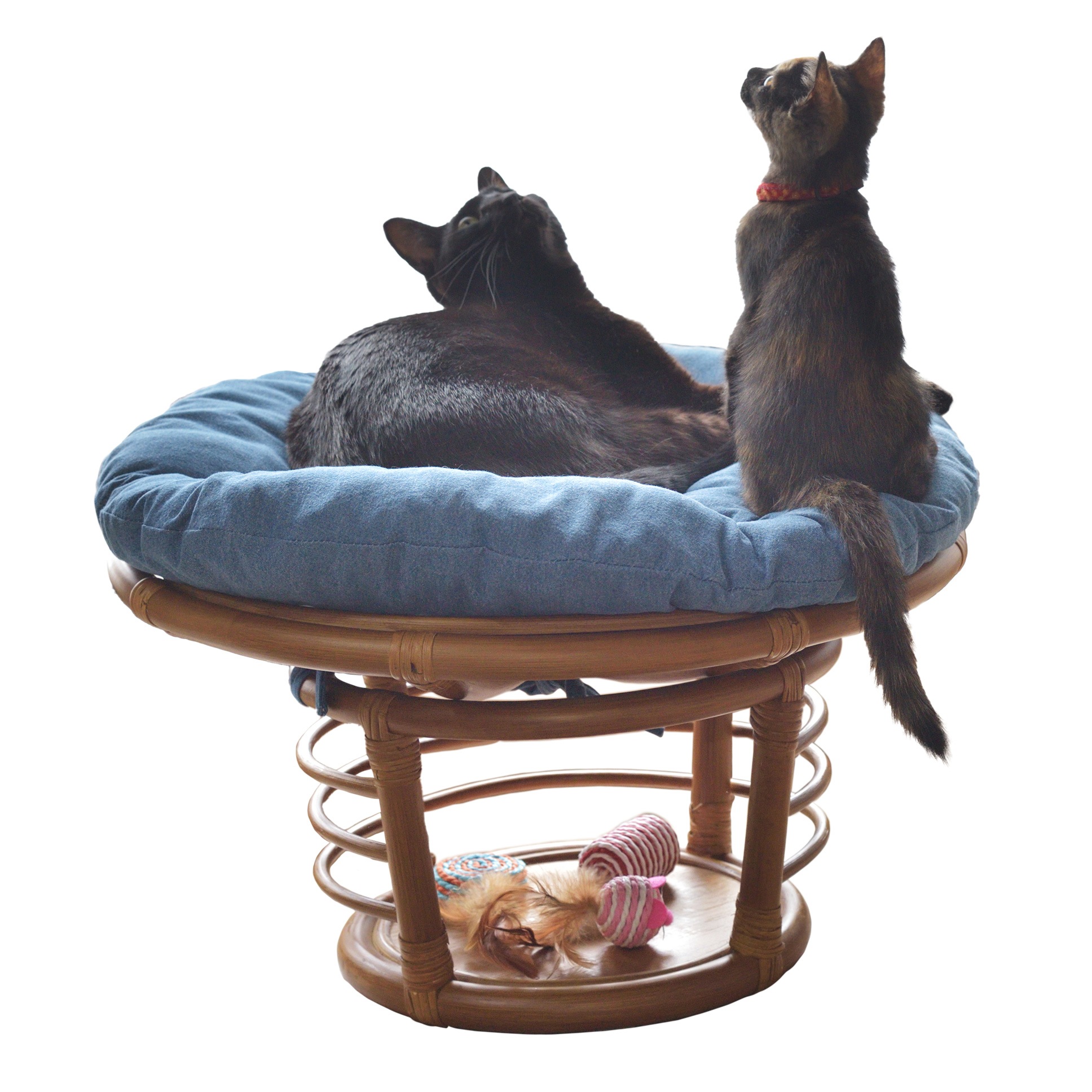 スツール ペット ペットハウス ねこ 犬 おしゃれ 円形 座布団 椅子 腰掛け ねこ用ベッド