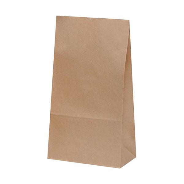 （まとめ）パックタケヤマ 角底袋 未晒 無地 H6mm 1パック（100枚）[x5]