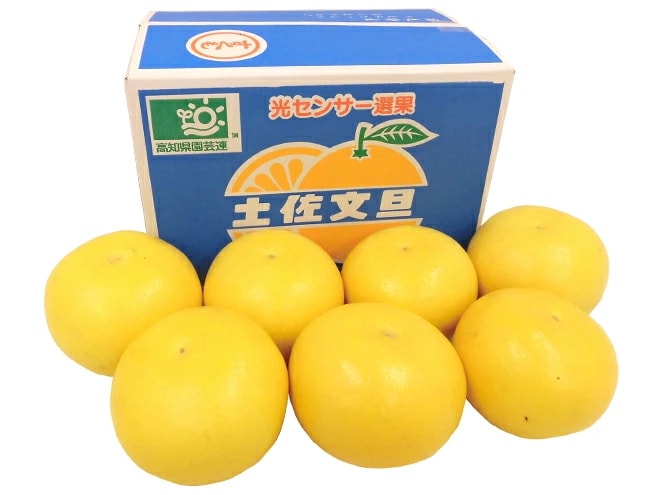 高知産 土佐文旦 =宿毛文旦= 秀品 3L-大サイズ 約4-5kg 産地箱 予約 2月以降