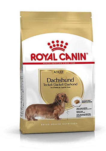 BHN ダックスフンド 成犬用 1.5kg