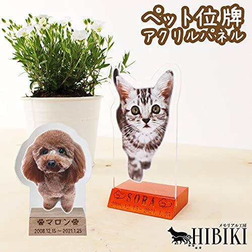 ペット位牌 アクリルパネル 木製台座付き フルカラー 写真プリント 名入れ オリジナル 犬 猫 ペット供養 ペットロス 位牌 アクリル製 仏具 仏壇 デザイン モダン 手元供養