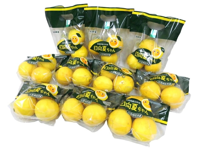 宮崎産 =日向夏ちゃん= 10袋（1袋あたり3-4玉 約300-400g） 予約 2月中旬以降