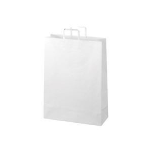 （業務用2セット）ジョインテックス 手提袋 平紐 白 特大 50枚 B294J-W 7,729円