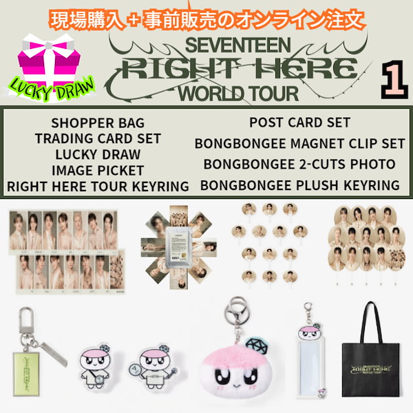 未使用　SEVENTEEN RIGHT HERE JEONGHAN　ピケット SEVENTEEN SVT JEONGHAN RIGHT HERE WORLD TOUR MINI IMAGE