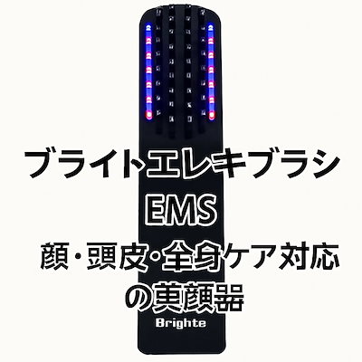 Brighte ELEKI BRUSH BRT-FS145Bブライトエレキブラシ eleki01.gif
