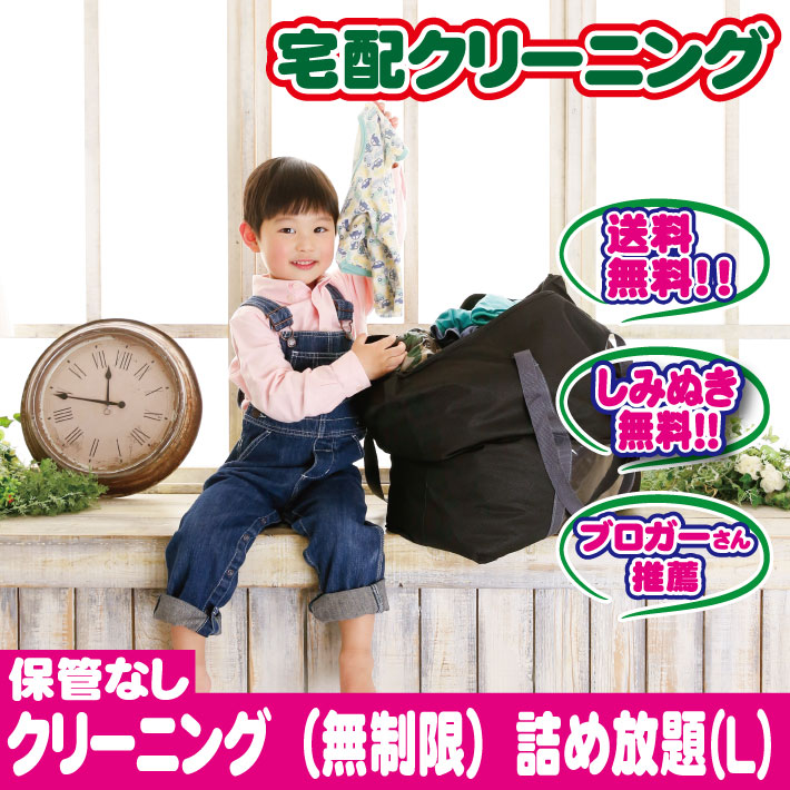 宅配クリーニング 詰め放題Lサイズ　ご自宅にいながらクリーニングが出せます！　今ならしみぬきも無料！