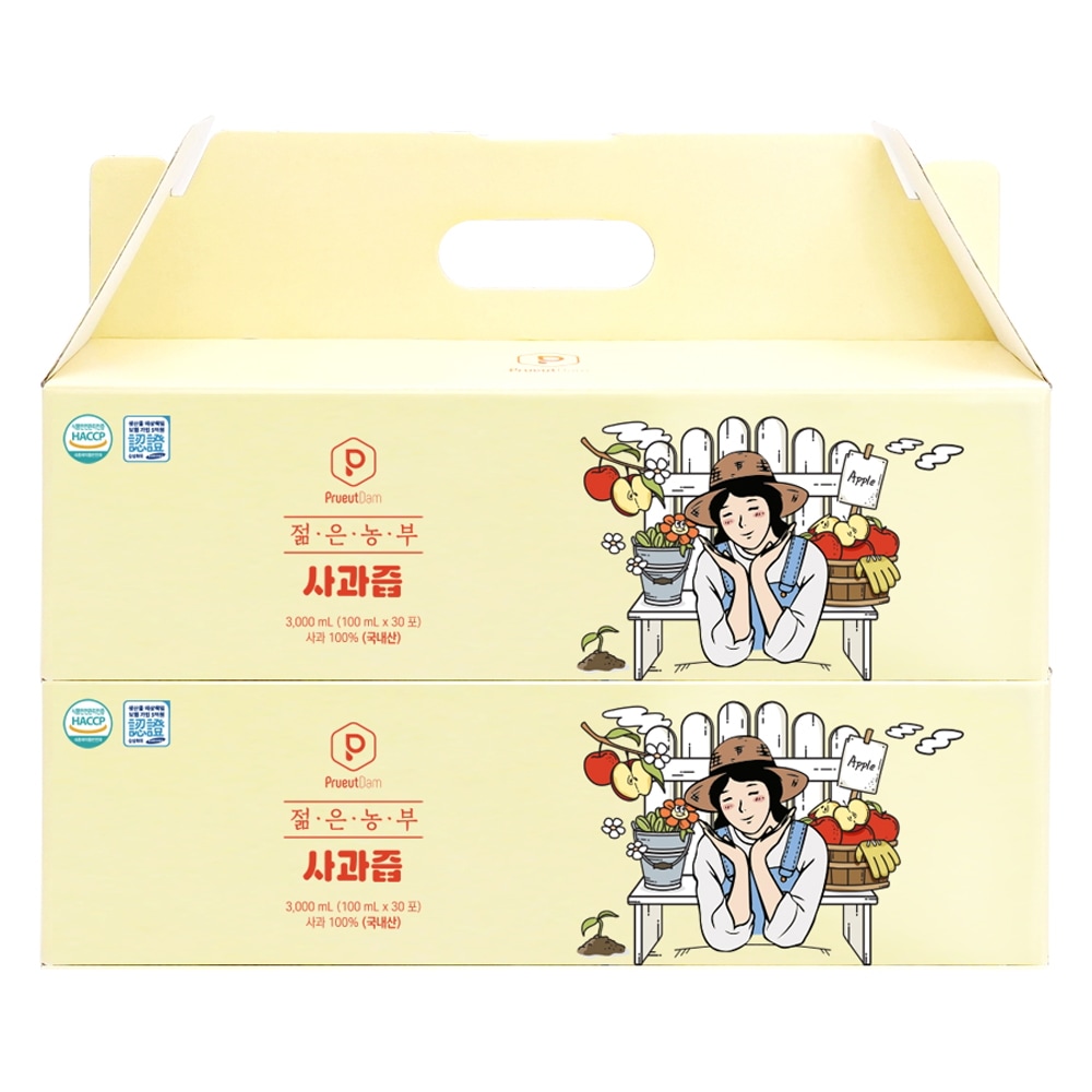 フムダム若い農夫りんごジューシー3L60個入り