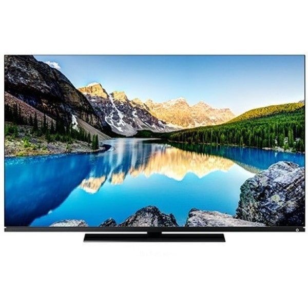 有機ELテレビ 48型 地上BS110度CSデジタル 4Kチューナー内蔵 48インチ 48V型 48X8900L REGZA レグザ