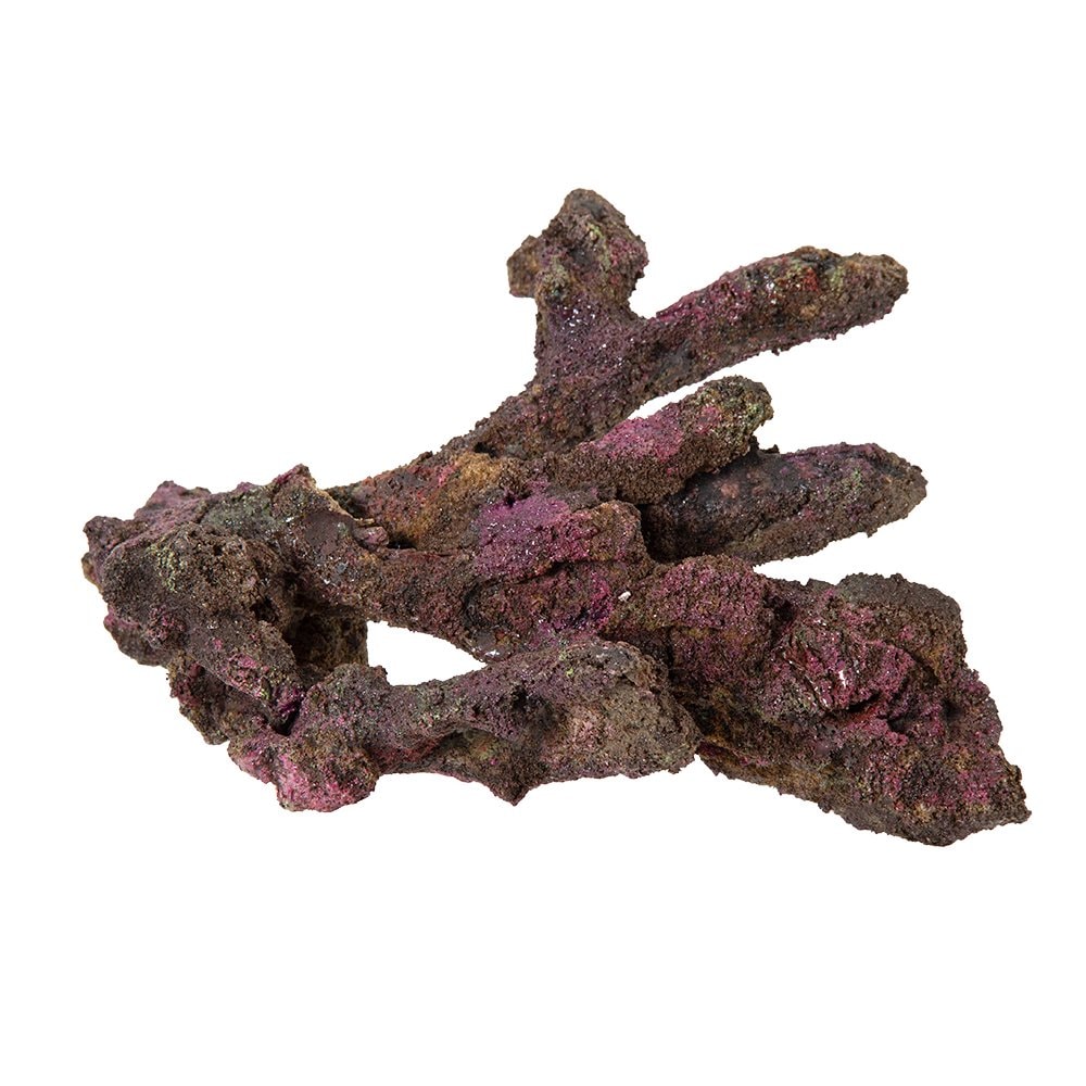 ＯＲＣＡ　ＯＣＥＡＮ　ＲＯＣＫ　１７　３３X１３X１８ｃｍ　ライブロックレプリカ　ＣＲＣ10―35―90―30―00