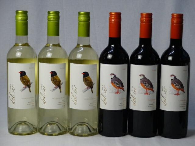 チリ白赤ワイン6本セット デルスール カルメネール ミディアムボディ3本 デルスール ソーヴィニヨ