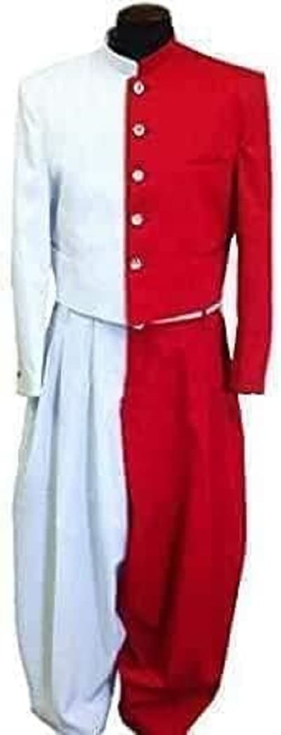 変形学生服 紅白学ラン (上下セット) コスチューム 仮装 変装 文化祭 イベント