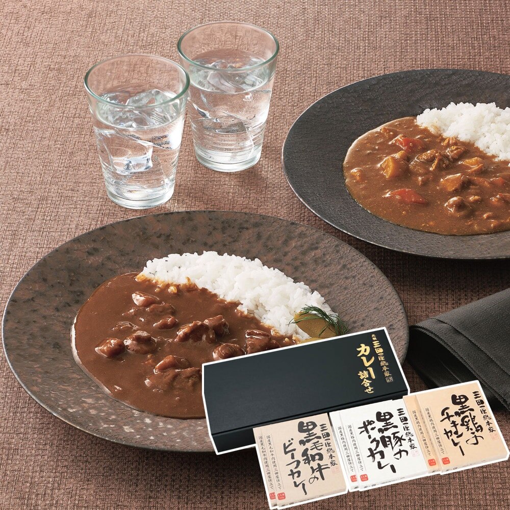 三田屋総本家 カレー詰め合わせギフト 3種 6食入