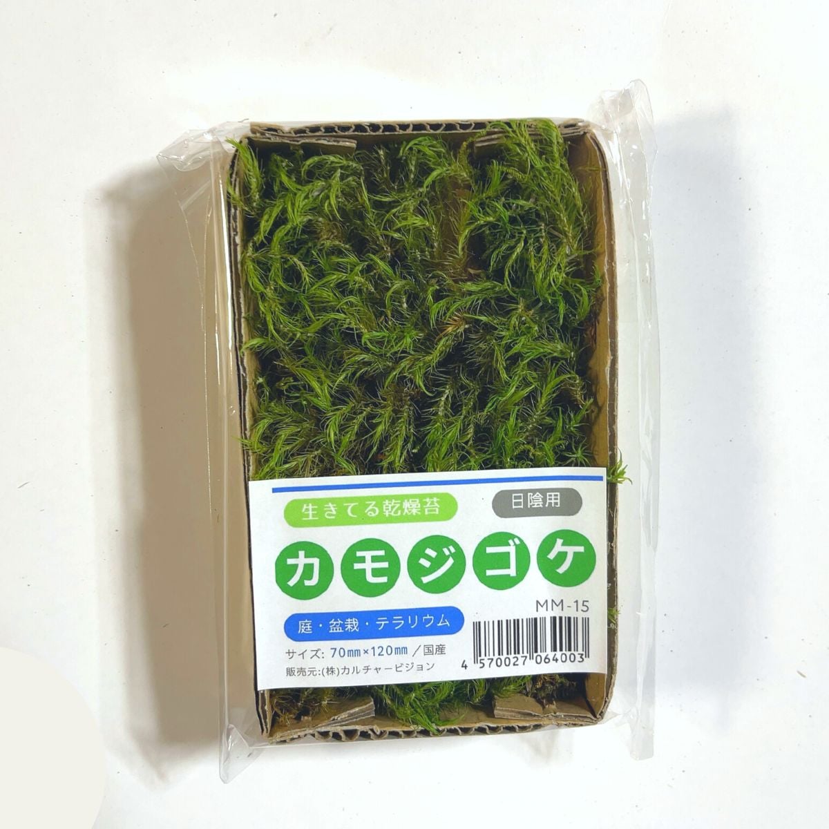 カモジゴケ 70×120mm【6個セット】庭園 造園 盆栽 苔 ジオラマ テラリウム コケリウム インテリア グリーン モスパネル モスウォール 花材 日本製