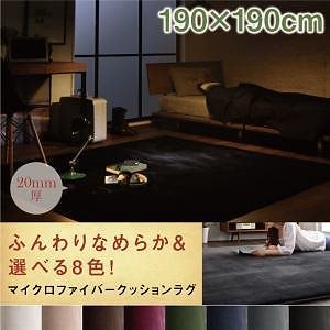8色x4サイズから選べる ふんわりスムースタッチ マイクロファイバークッションラグ 190x190cm モカブラウン