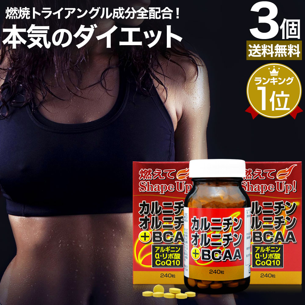 カルニチン・オルニチン＋BCAA 240粒*3個 約90-120日分 カルニチン lカルニチン エルカルニチン リポ酸 bcaa コエンザイムq10 サプリメント サプリ