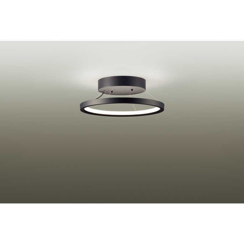 大光電機　LEDシーリングライト 10畳 昼光色～電球色 リモコン付属　DXL-81449