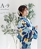 A-9