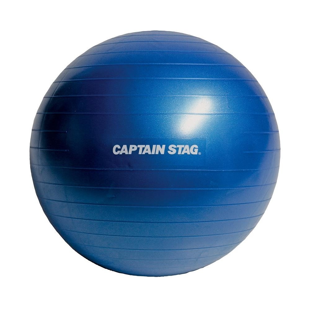 CAPTAIN STAG キャプテンスタッグ Vit Fit フィットネスボール φ65 ブルー UR-0862フィットネス器具