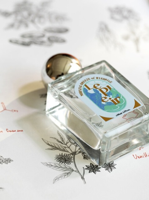 [超おすすめ]SEVENTEEN使用香水/韓国香水/K-pop韓国の芸能人多数使用