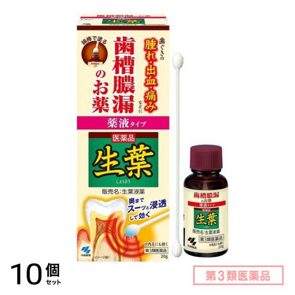 第３類医薬品 生葉(しょうよう)液薬 歯槽膿漏薬 20g (+綿棒30本入) 10個セット