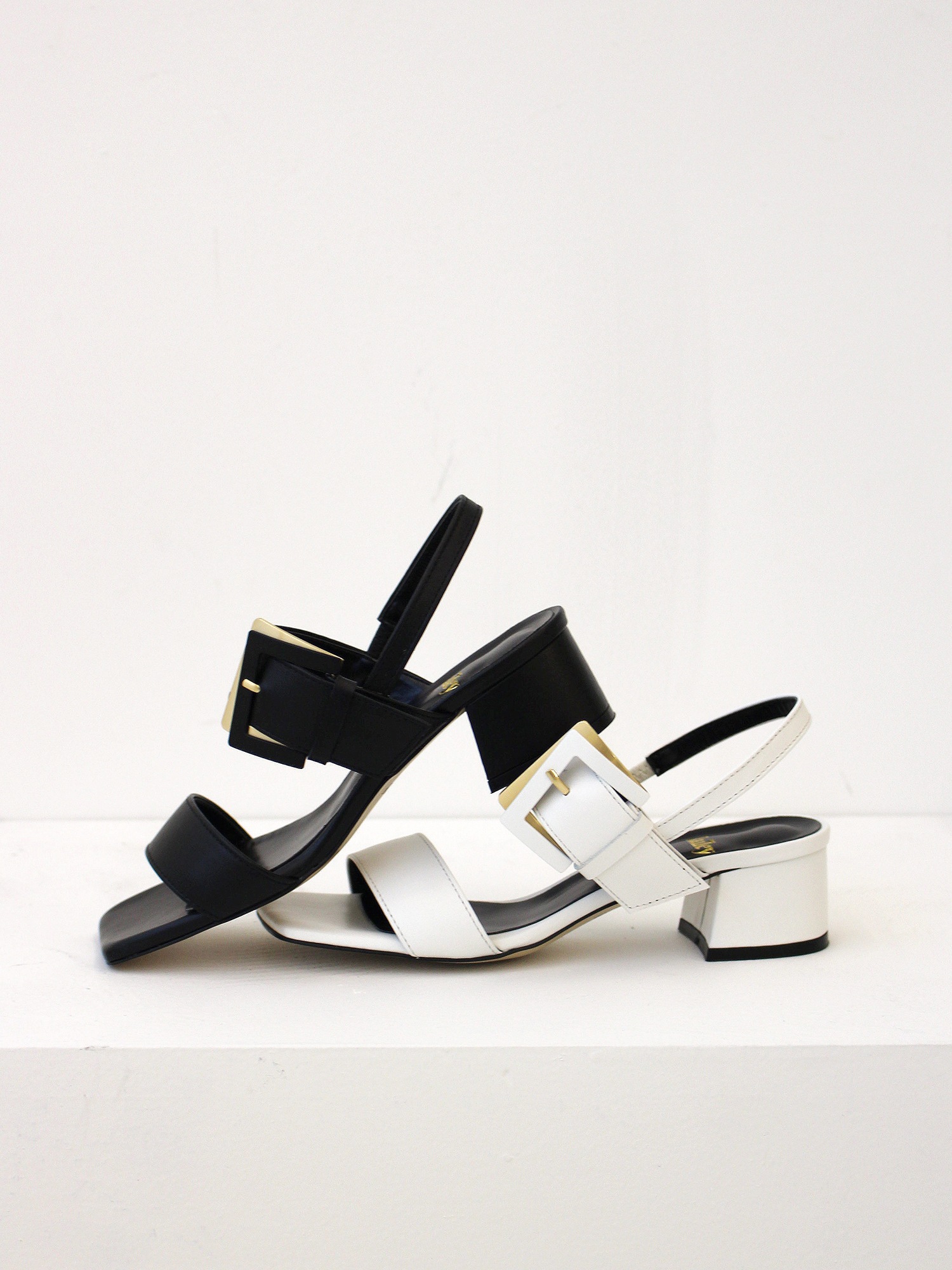 ヘイリーによる14日間の制作   HJ20024_2_カラー 21,959円