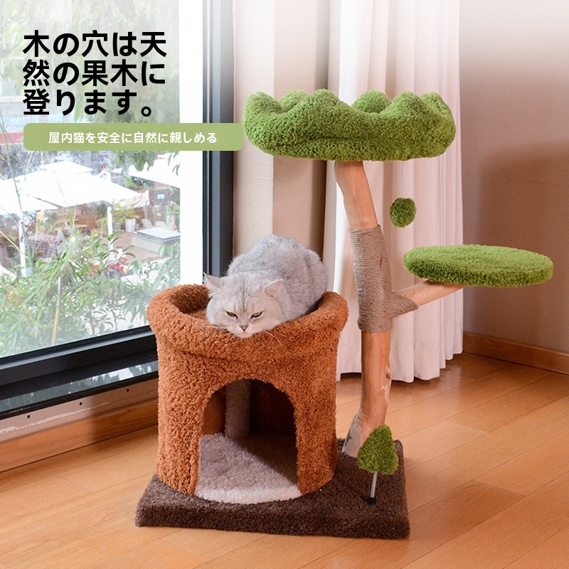 キャットクライミングフレーム無垢材のキャットツリーは子猫の巣の面積を占めている 大型猫用ワンピース天然フルーツウッドサイザルポスト