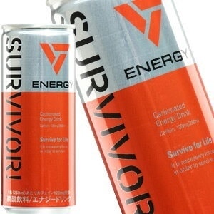 サバイバー エナジードリンク 250ml缶90本［30本3箱］［賞味期限：3ヶ月以上］［送料無料］