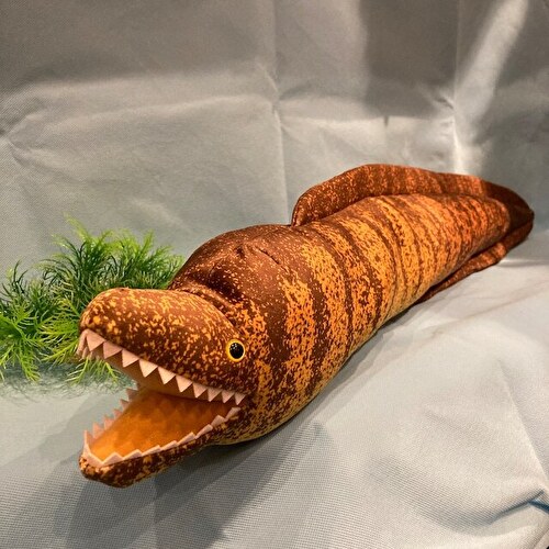 テイクオフ ウツボぬいぐるみ 動物 TAKE OFF誕生日や記念日のギフトとして可愛いヌイグルミです BC-D