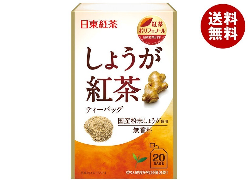 三井農林 日東紅茶 しょうが紅茶 2.2g＊20袋＊48袋入