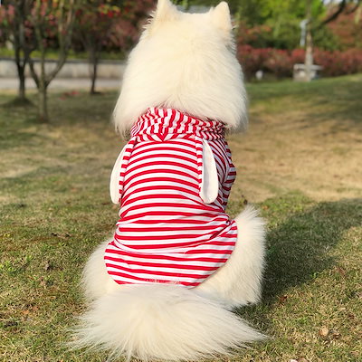 [Qoo10] 大型犬服夏サモイドゴールデンレトリバーラ : ペット