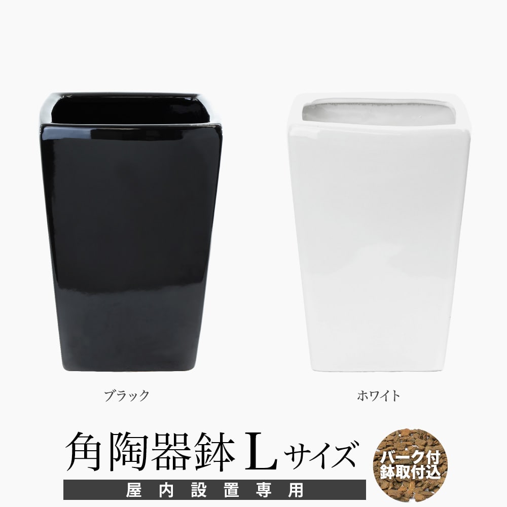 アークオリジナル 角陶器鉢 Lサイズ バーク付 屋内専用