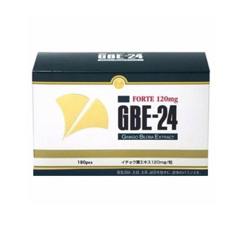 GBE-24 FORTE 120mg 180錠 17,608円