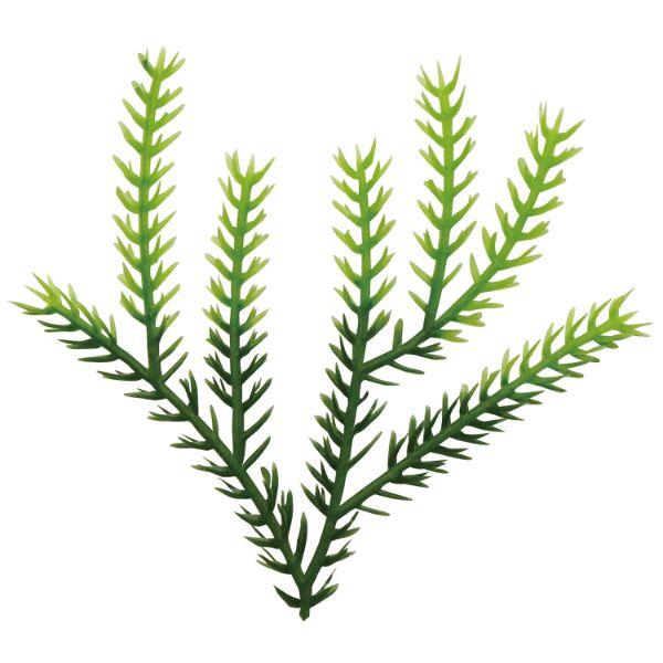 造花 たちかずら2色 大黒工業 400点