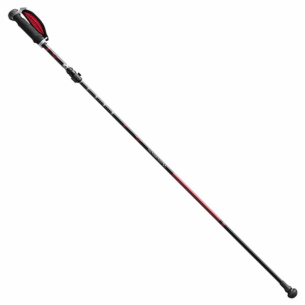 MIZUNO ミズノ 4段折りたたみウォーキングポールLITE 2本1組 ウォーキング ウォーキングポール メンズ C3JTPB1062