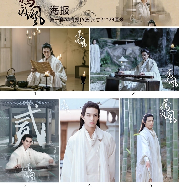 中国ドラマ『鳳囚凰 陰謀と裏切りの後宮』容止 楚玉 宋威龍 關曉彤 A4ポスター20枚セット 21*29cm 関連グッズ 4,600円