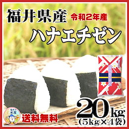 大人気品種★「華越前」★【コシヒカリの孫!即納OK!送料無料!】福井県産ハナエチゼン20kg(5kg×4) 白米 令和2年産☆単一原料米
