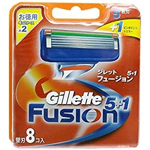 Gillette ジレット フュージョン5+1 - nayaabhaandi.com