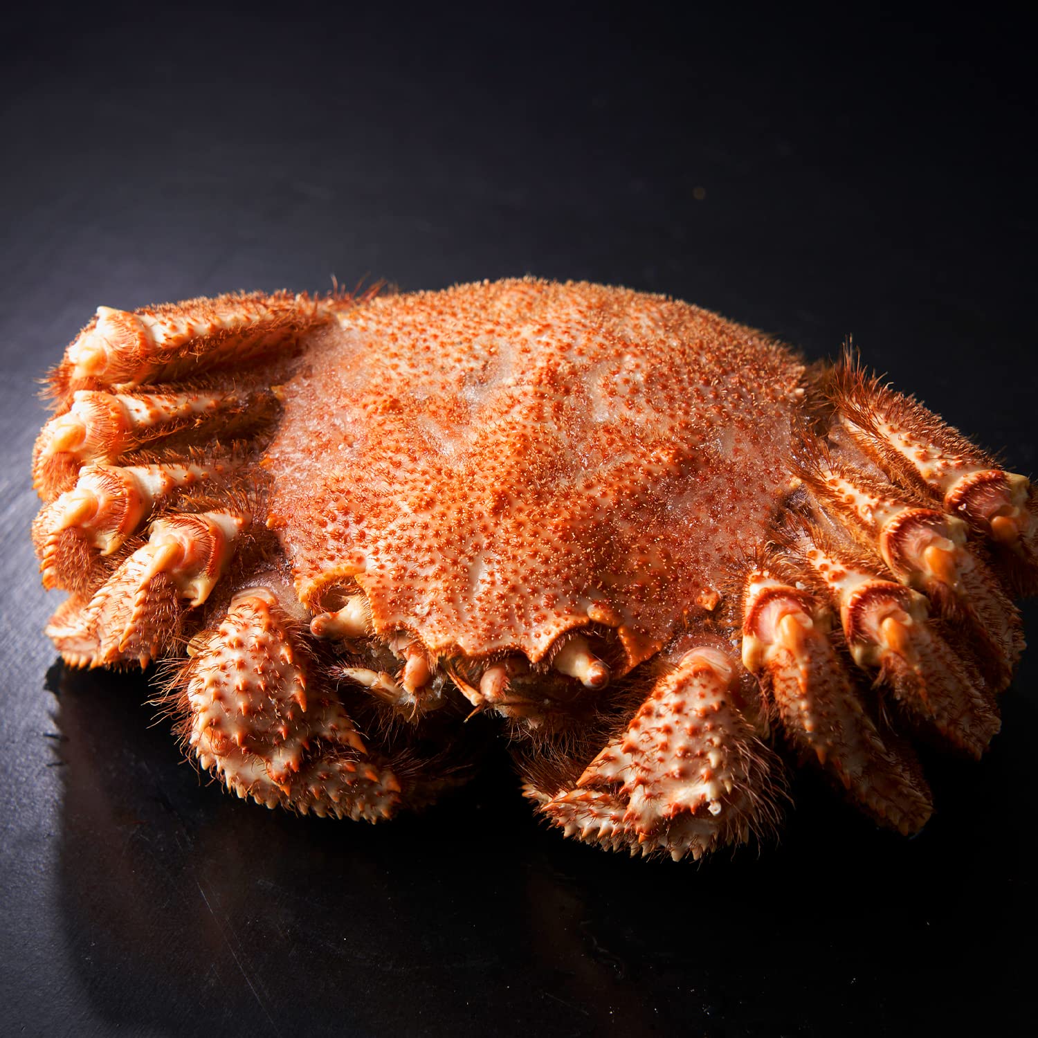 北海道きたれん 北海道産 超特大ボイル 毛蟹 900g～1 (冷凍) (1尾)