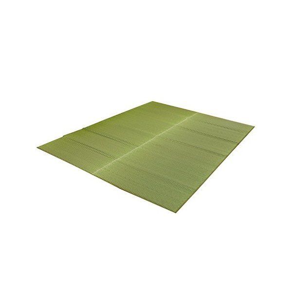 1050890122303 純国産 い草ラグカーペット 「Fソリッド」 約140×200cm GN メーカー直送