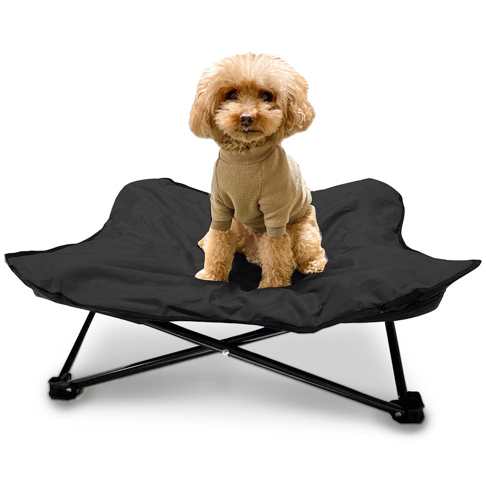 シンセーインターナショナル アイリスプラザ 犬用アウトドアベッド 犬用アウトドアベッド わんわんペットコット M 1011199012 ブラック