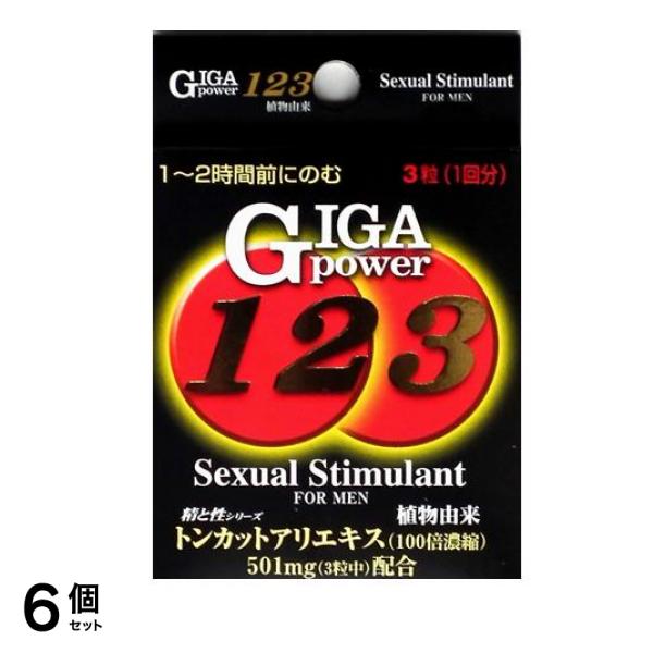 ギガパワー123 3粒 6個セット