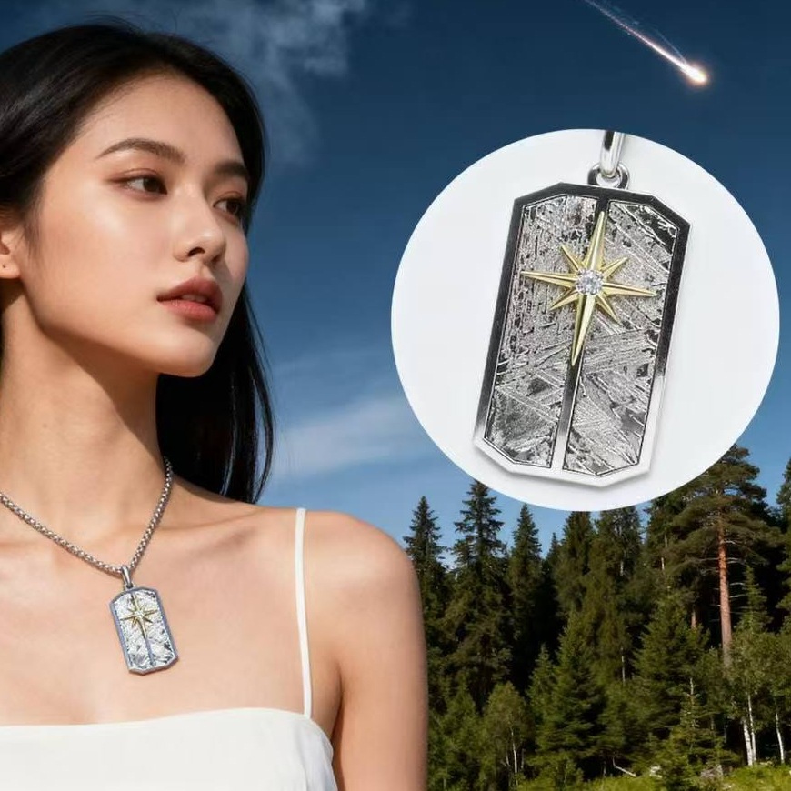 【一点物 宇宙の神秘】天然アイアンメテオライト 八芒星ドッグタグ ペンダントトップ選べるチェーン長さ証明書・ギフトBOX付き