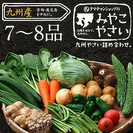 【送料無料】九州野菜ミニミニお試し詰め合わせセット★九州の美味しい野菜をタマチャンショップが選りすぐりで7~8品詰めてお届け!