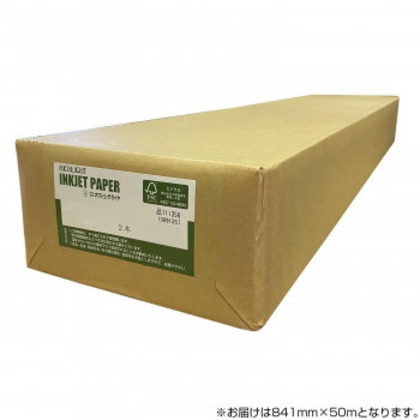 オストリッチダイヤ RJEFモノクロ用再生紙エコノミータイプ 841mm×50m 2本入 1箱 RJEF-10