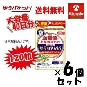 ゆうパケットで送料無料 6個セット 大容量40日分 小林製薬の栄養補助食品(サプリメント) サラシア100 40日分(120粒)× 6個セット 血糖値 特定保健用食品 特保