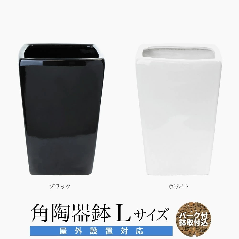 アークオリジナル 角陶器鉢 Lサイズ バーク付 屋外設置対応