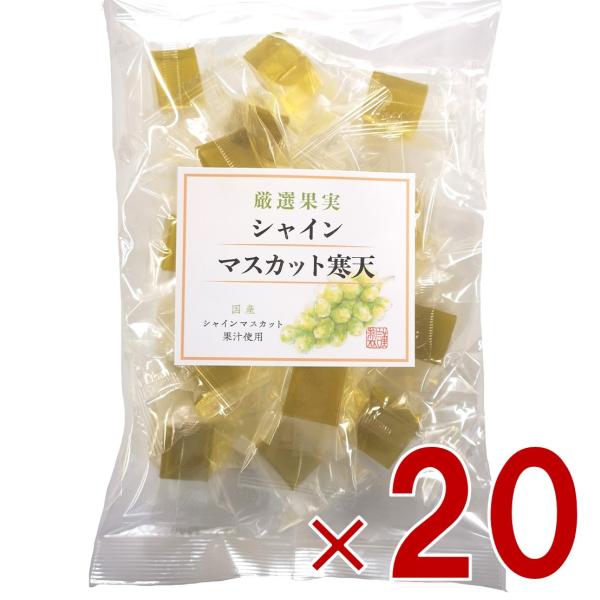 土筆屋 シャインマスカット 寒天 240g マスカット かんてん 和菓子 おやつ カンテン 食物繊維 20個